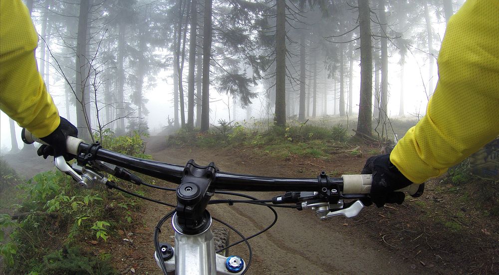 Cyclist in a misty woods. Original public domain image from Wikimedia Commons