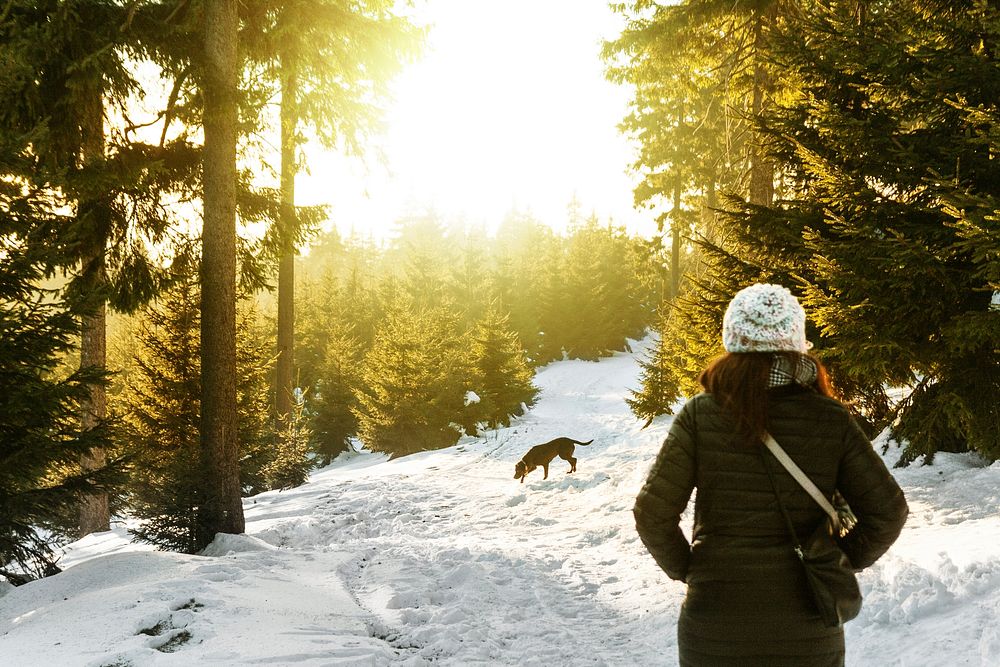 A woman walking her dog in a snowy spruce forest in Boží Dar. Original public domain image from Wikimedia Commons
