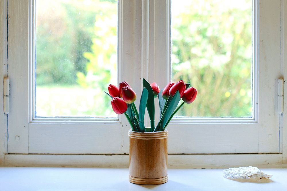 A pot of red tulips. Original public domain image from Wikimedia Commons