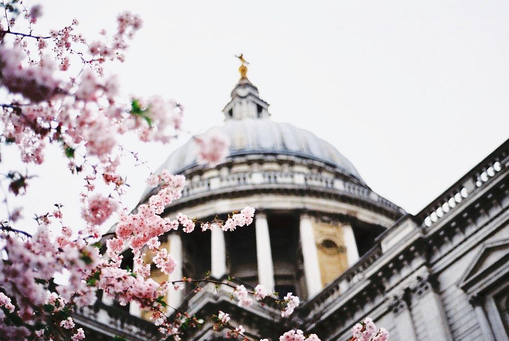 St. Paul's Cathedral, London, United Kingdom. Original public domain image from Wikimedia Commons