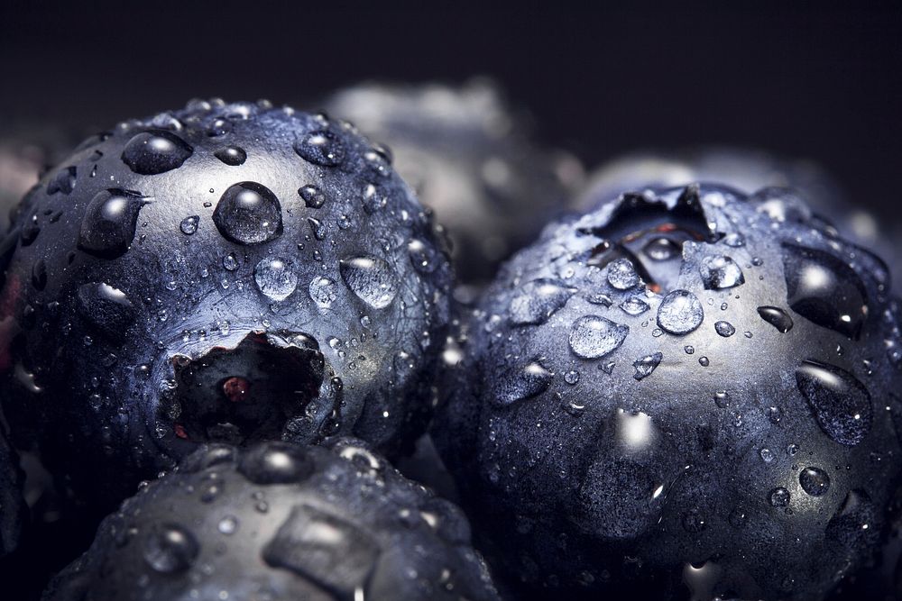 Macro shot of ripe blueberries covered in water droplets. Original public domain image from Wikimedia Commons