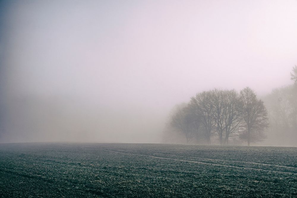 Fog covers a desolate farm field on a misty day. Original public domain image from Wikimedia Commons