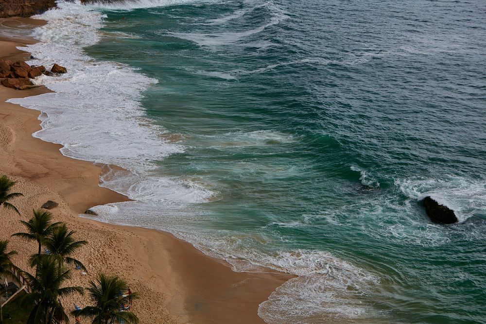 Waves lapping the sandy shoreline, lined with palm trees, State of Rio de Janeiro. Original public domain image from…