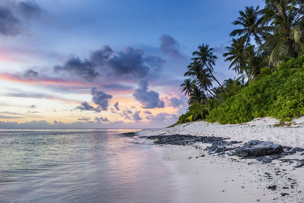 A beautiful beach and palm trees during sunset. Original public domain image from Wikimedia Commons