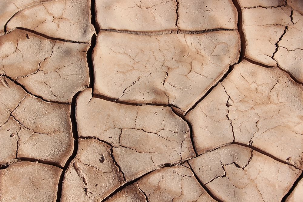 Close-up of cracks in dry dirt. Original public domain image from Wikimedia Commons