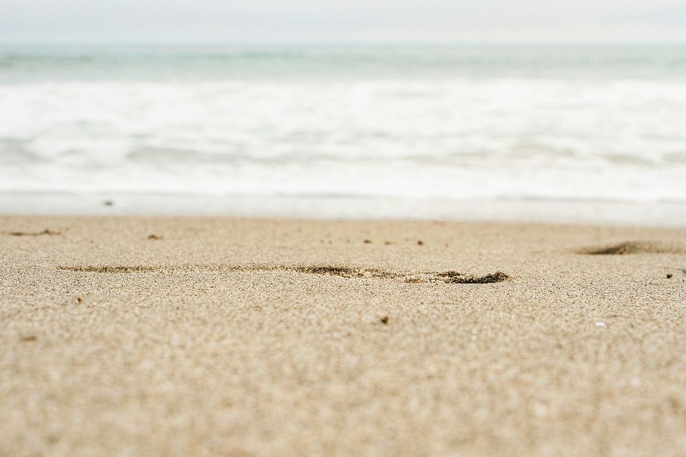 Beach sand focused with sea foam unfocused in the background. Original public domain image from Wikimedia Commons