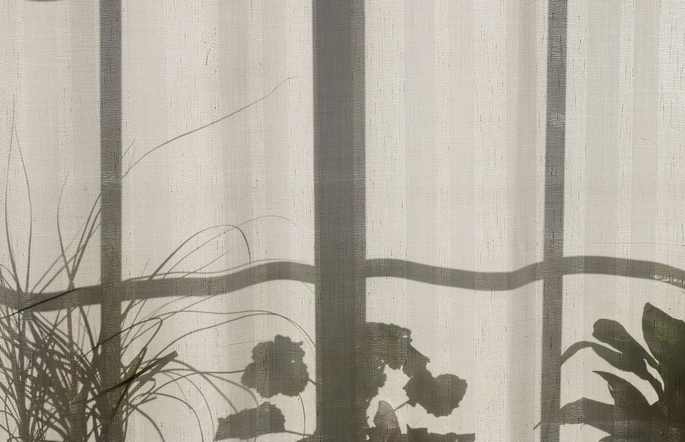 Shadow of the window frame and plants in pots on the white curtain in Nordfjordeid. Original public domain image from…