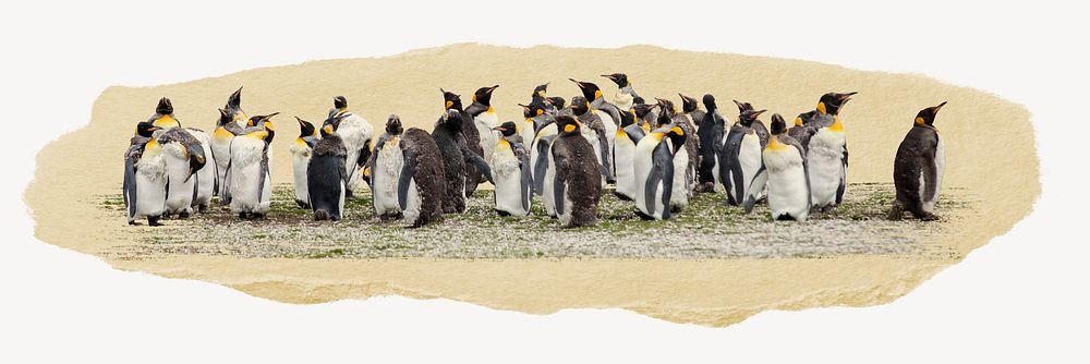Penguins, ripped paper collage element