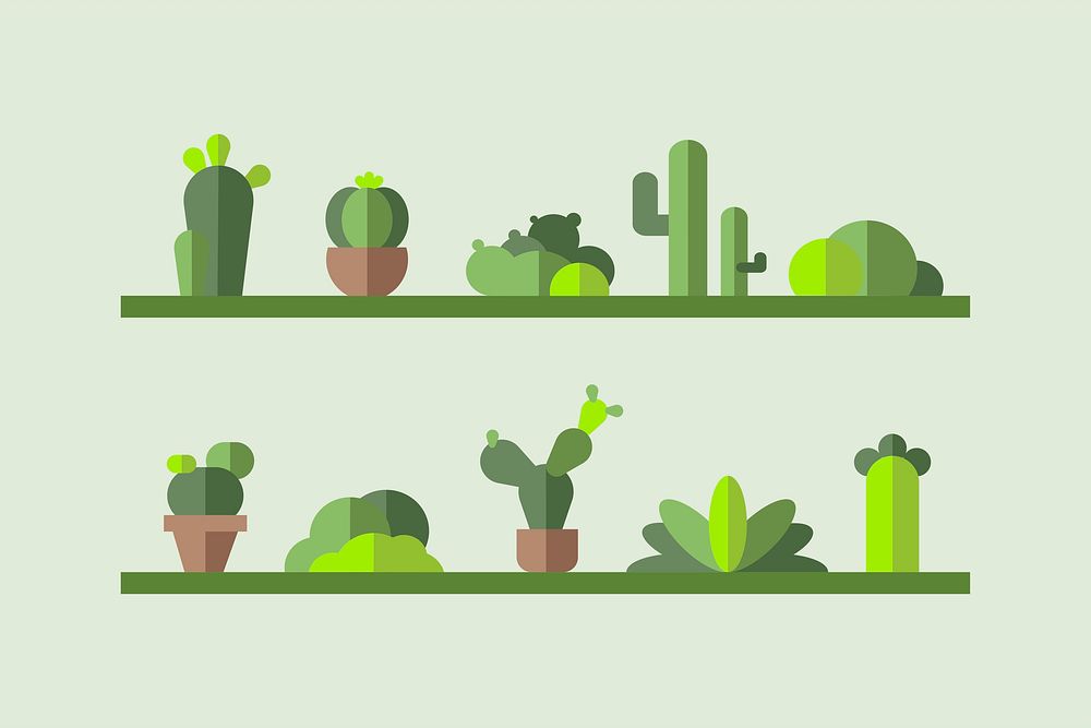 Green botany cactus collection vector