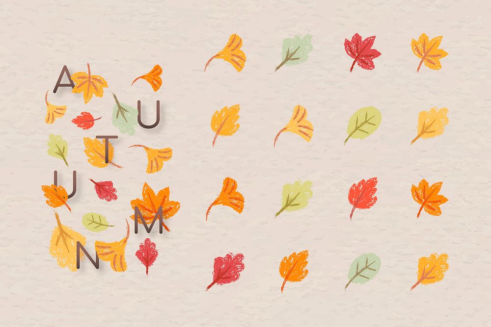 Autumn foliage  design elements vector set