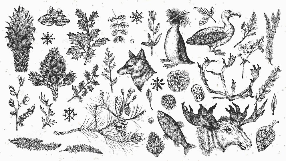 Animal drawing wallpaper collection vector