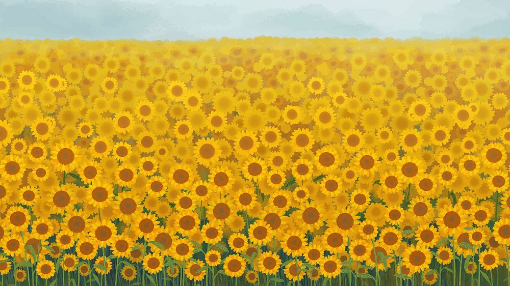Spring background vector with blooming sunflower filed