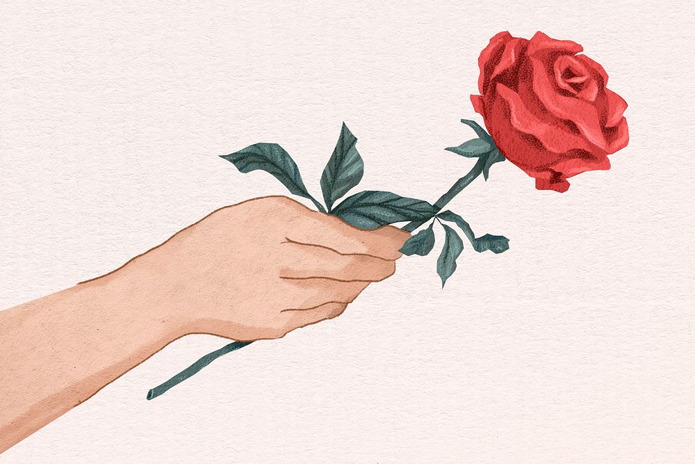 Cute Valentine&rsquo;s rose gift psd hand drawn illustration