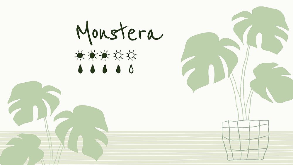 Watering chart template vector for monstera