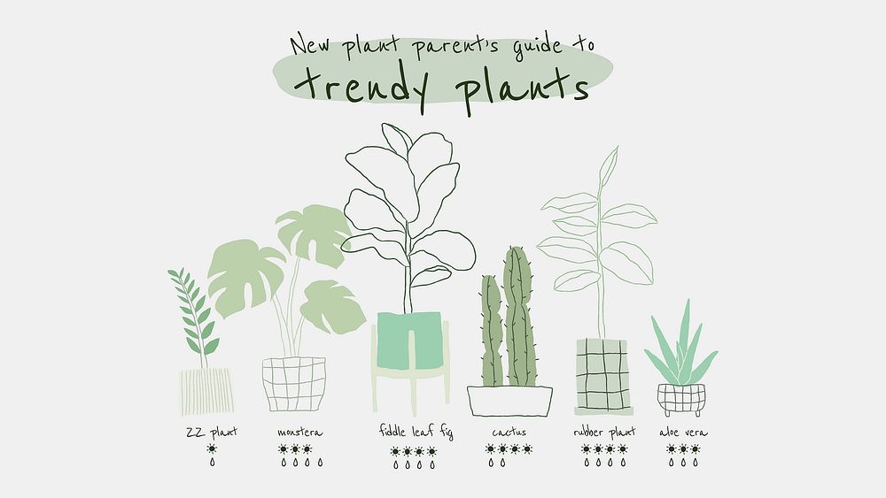 Trendy houseplant guide template vector for blog banner