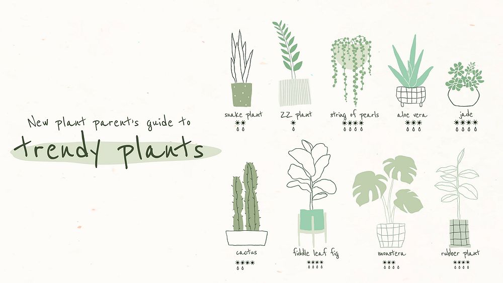 Trendy houseplant guide template vector for blog banner