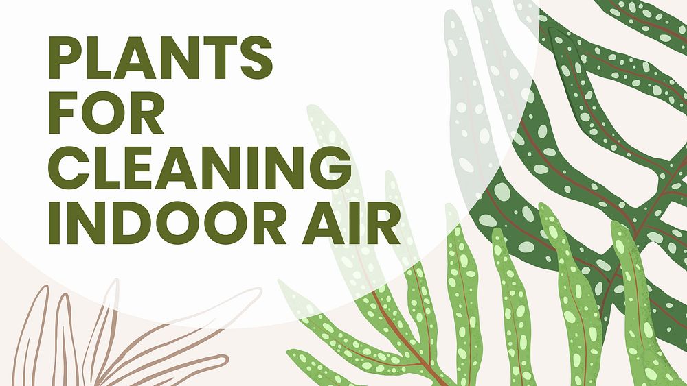 Blog banner template vector botanical background with plants for cleaning indoor air text