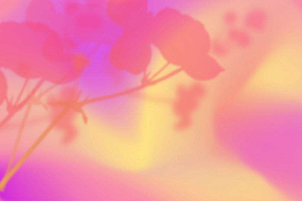 Pink gradient background, floral border design vector