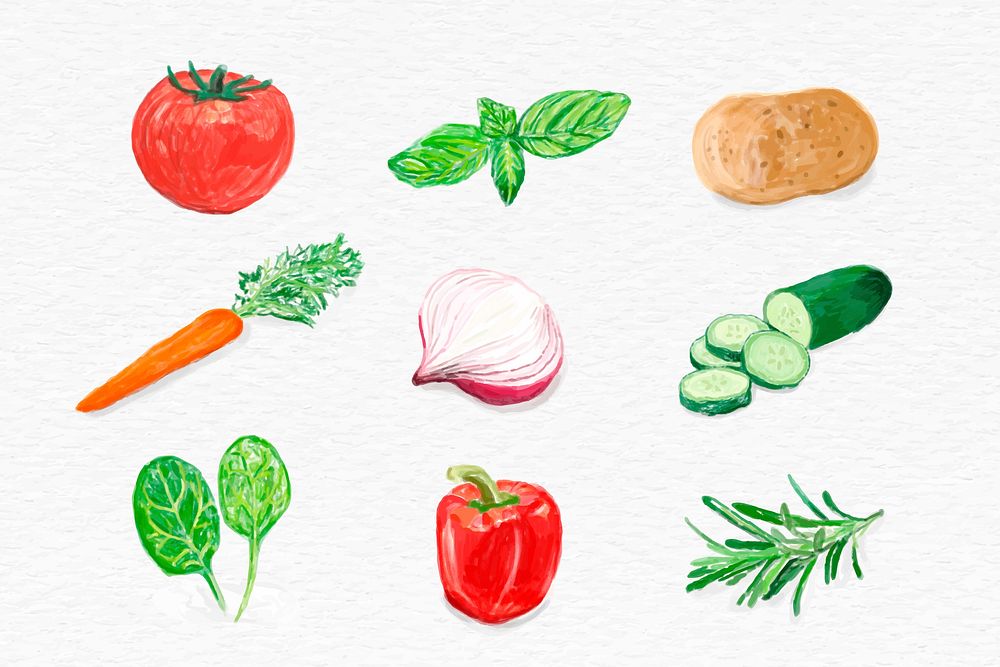 Vegetables vector watercolor hand drawn collection