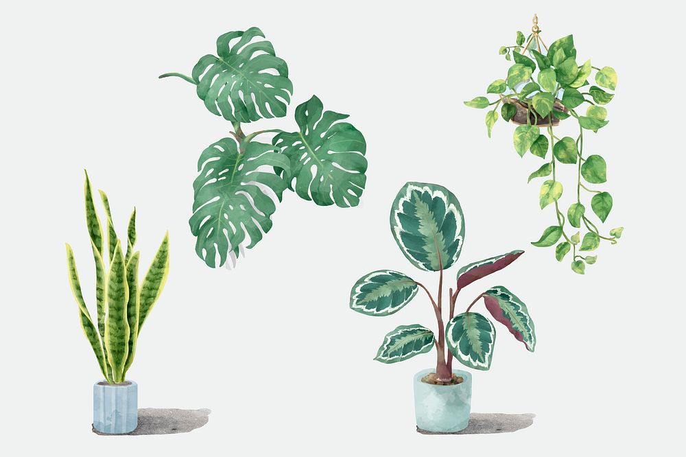Tropical watercolor plant illustration set