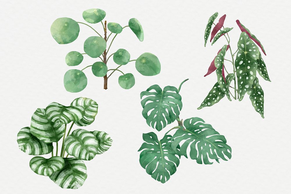 Watercolor psd tropical leaf set