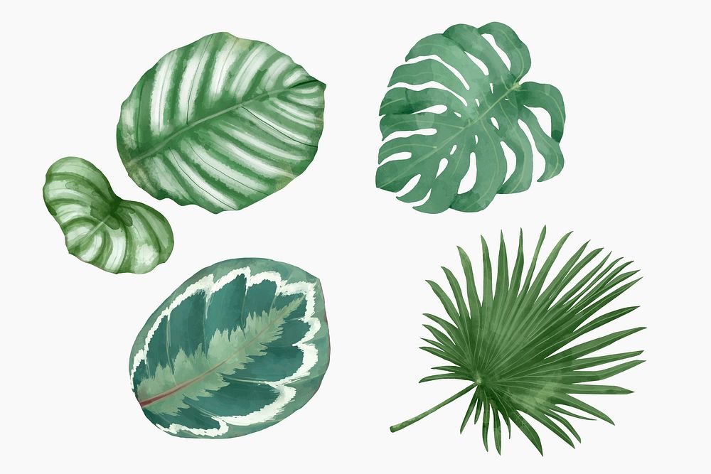 Watercolor leaf vectors mixed green plants