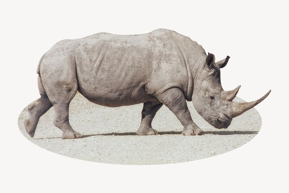 Rhino badge, animal photo