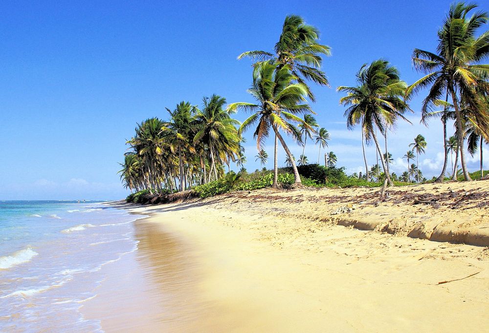 Dominican Republic Beach Bavaro Tropics. Original public domain image from Wikimedia Commons