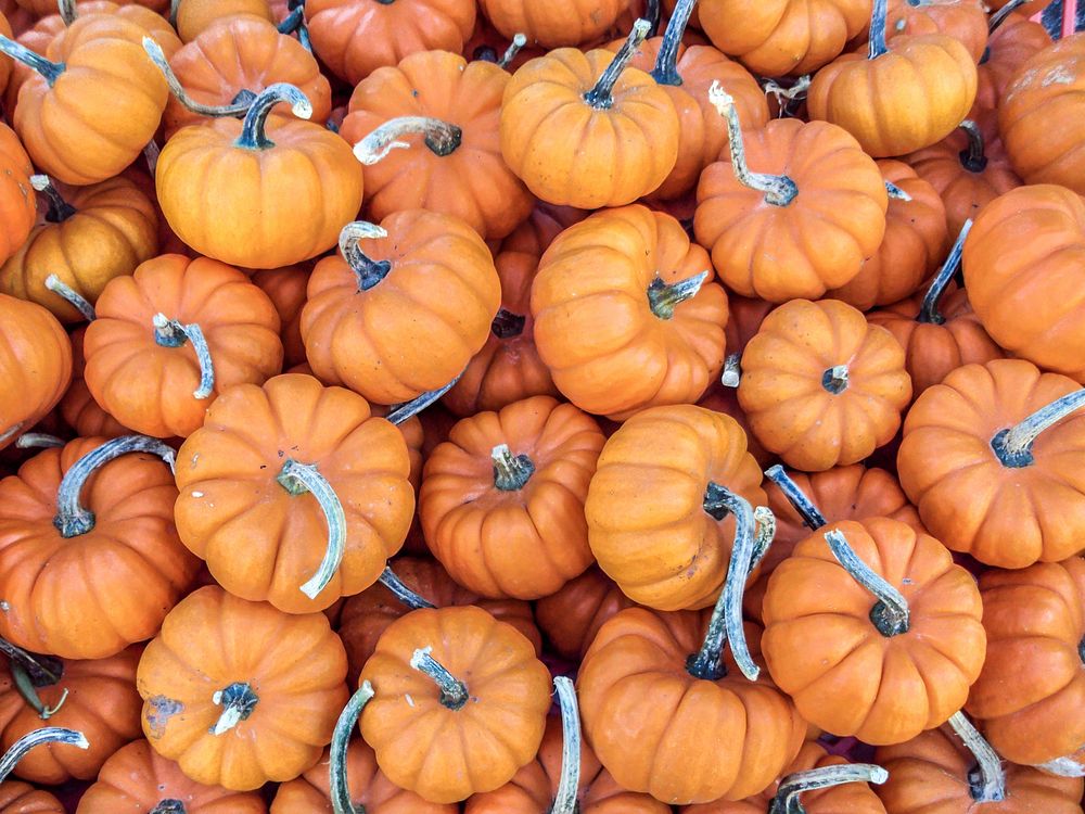 A bunch of "mini" pumpkins at an open-air farmers' market. Original public domain image from Wikimedia Commons