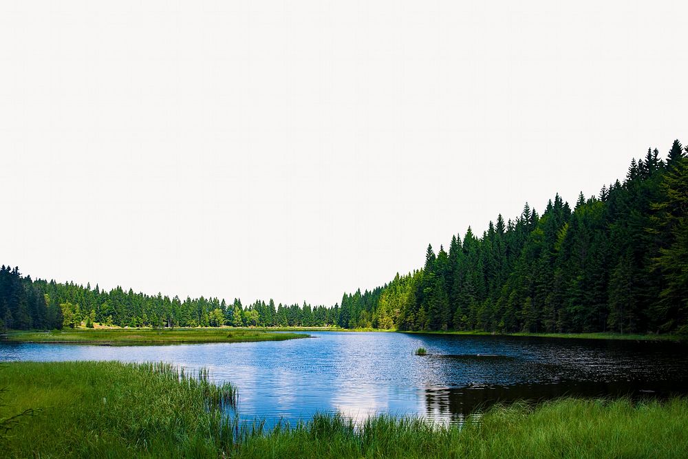Forest lake background, nature border design