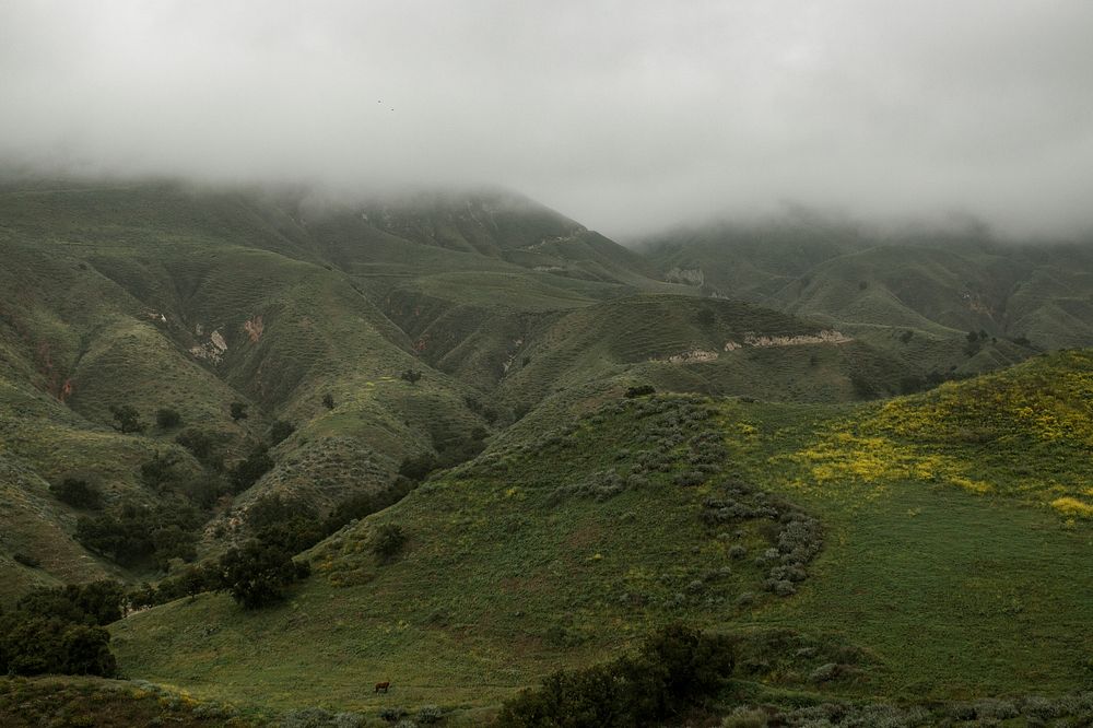 Foggy green mountains background landscape photography