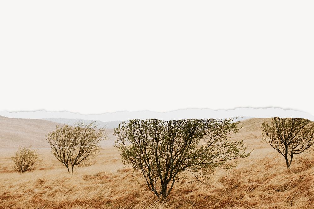 Rural landscape background, ripped paper border