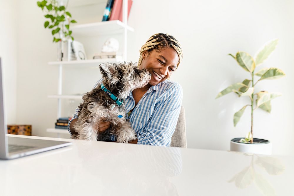 Playful dog licking woman's face, work from home concept