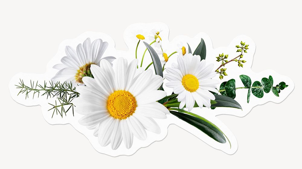 Daisy flowers bouquet, off white design