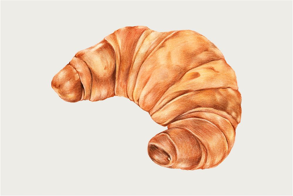 Freshly baked croissant vector hand-drawn