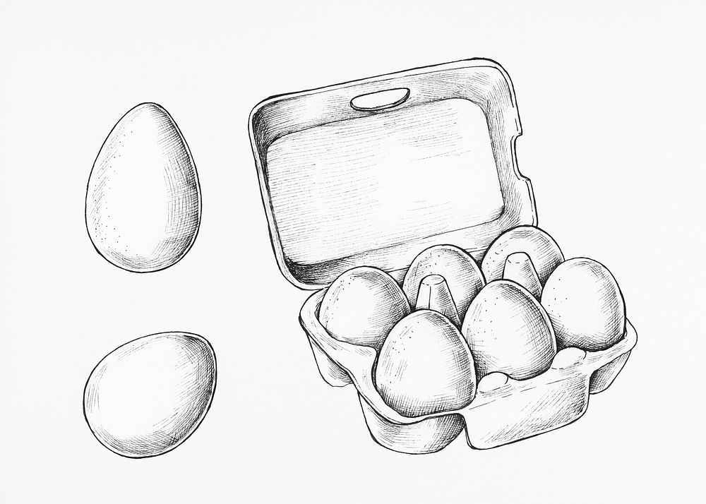 Hand drawn a box of raw eggs
