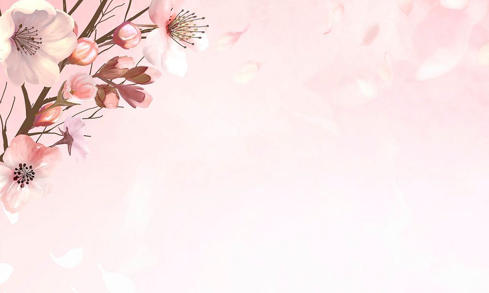Hand drawn cherry blossoms on a pink background illustration
