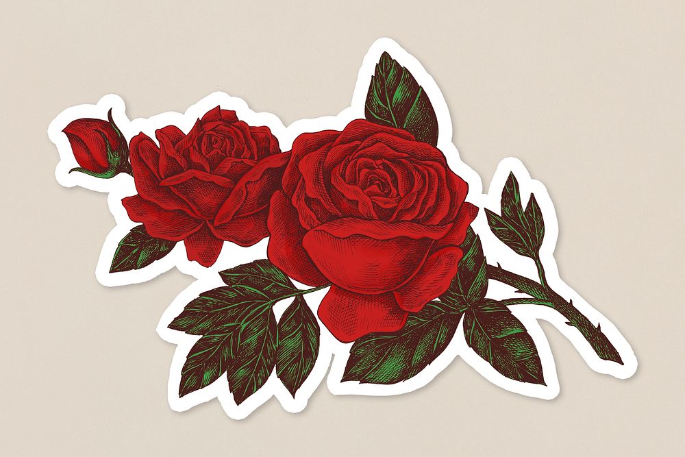 Hand drawn blooming red rose sticker