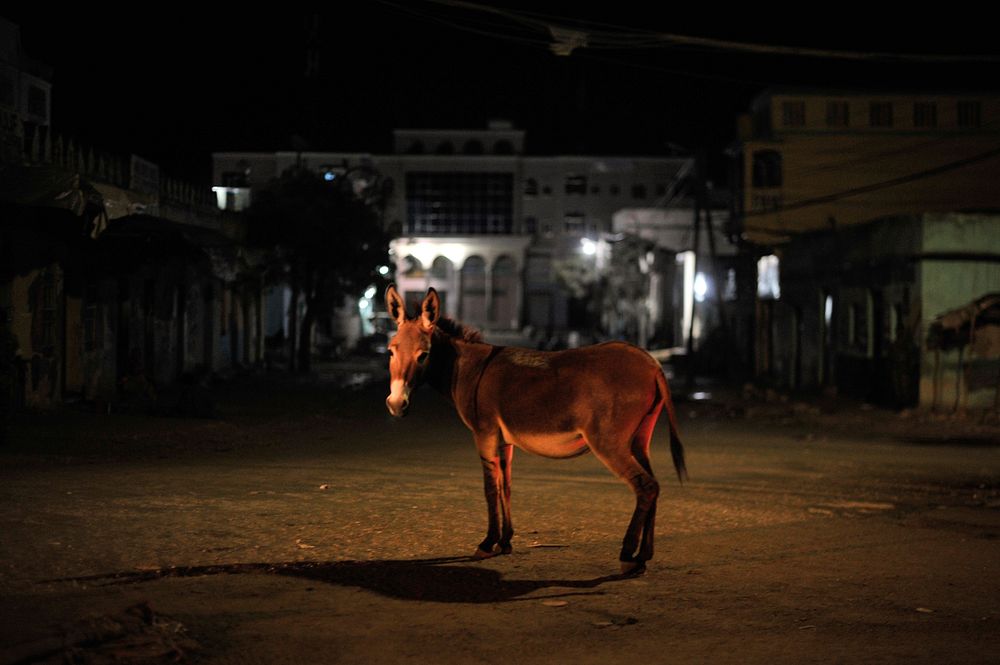 A donkey stands in the middle of a roundabout in Baidoa, Somalia, during a night patrol conducted by the Ethiopian…