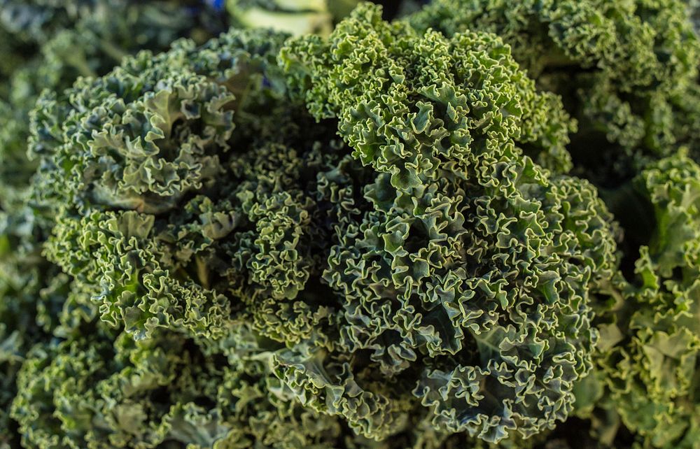 Curly kale for sale at Jack London Square, in Oakland, CA, on Sunday, March 2, 2014. USDA photo by Lance Cheung.. Original…