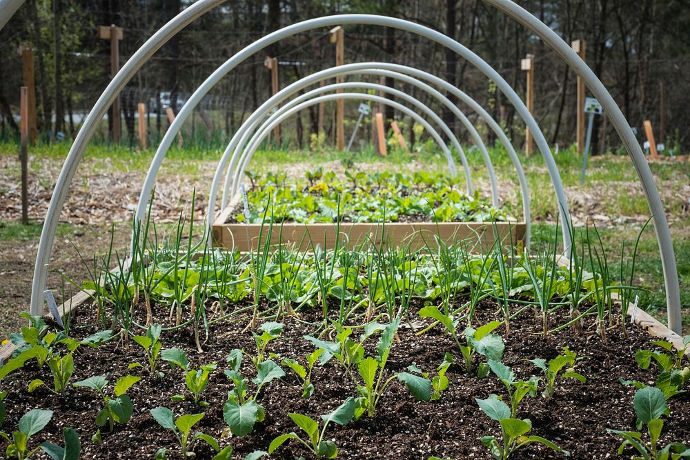 Hoop Houses extend the growing season of the Horticulture Program Learning Garden at Gwinnett Technical College, in…