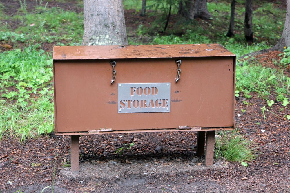 Bear-proof food storage box by Diane Renkin. Original public domain image from Flickr