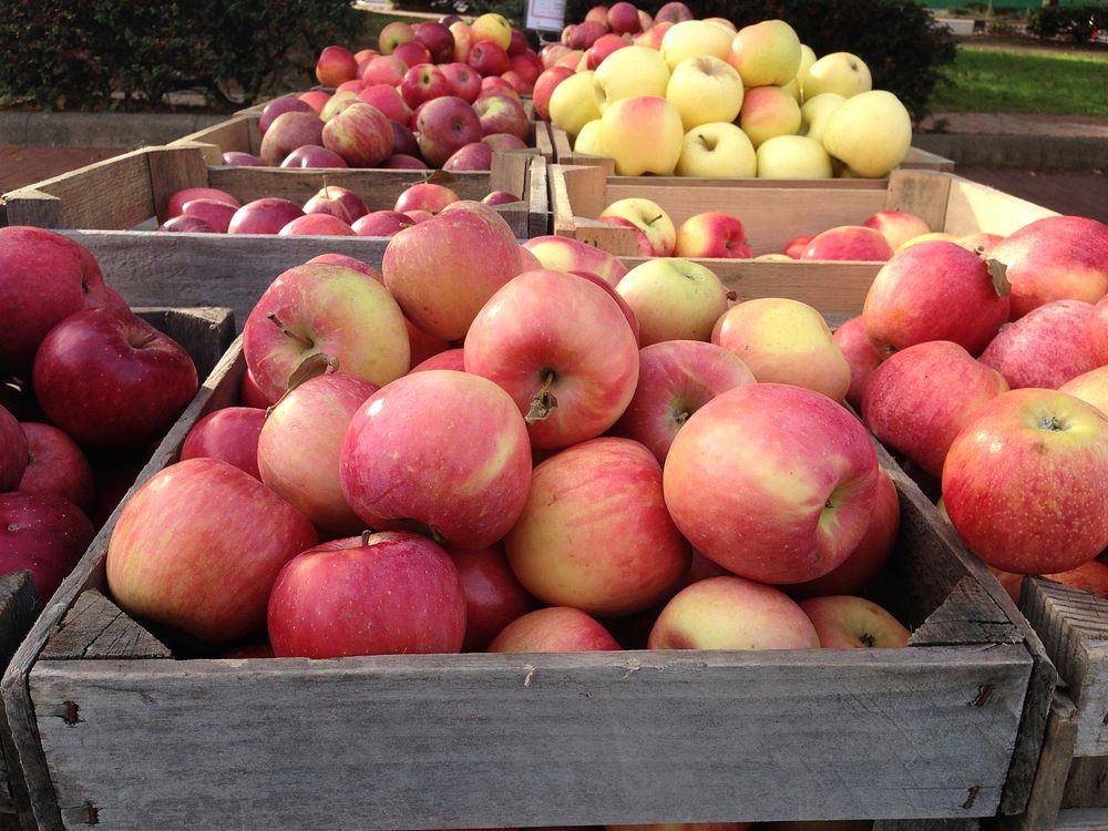 Fall apples at Bloomingdale Farmers Market, a park side street location, on Wednesday, November 9, 2014, in Washington, D.C.…
