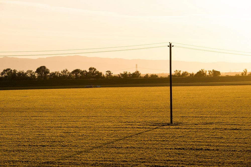 Power lines run through a California farm field, at sunset, near Sacramento, CA, on Wednesday, April 15, 2015. USDA photo by…