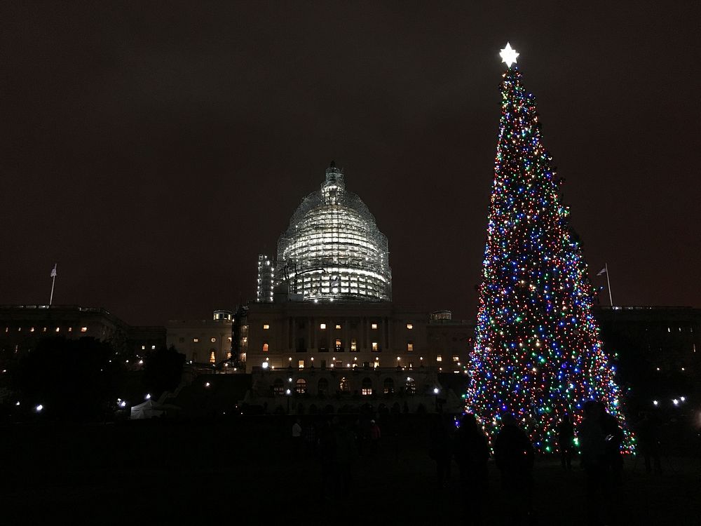 The U.S. Capitol Christmas Tree lighting ceremony took place on the west lawn of Capitol in Washington, D.C. on Wednesday…