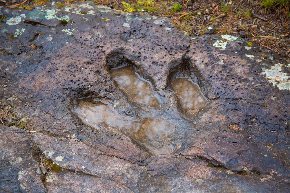 Bull Canyon Dinosaur Tracks_ET5A3204_editedBull Canyon Dinosaur Tracks on the Manti-La Sal National Forest. Credit: US…