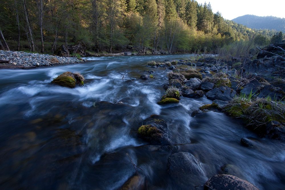 The 43 miles from Lewiston to Pigeon Point - the clear, cold section of the river - is world famous for its fly fishing.