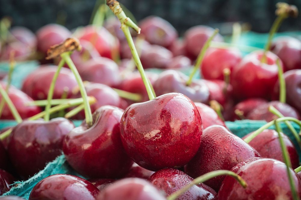 Cherries available from vendors at the U.S. Department of Agriculture Farmers Market on Friday July 22, 2016, in Washington…