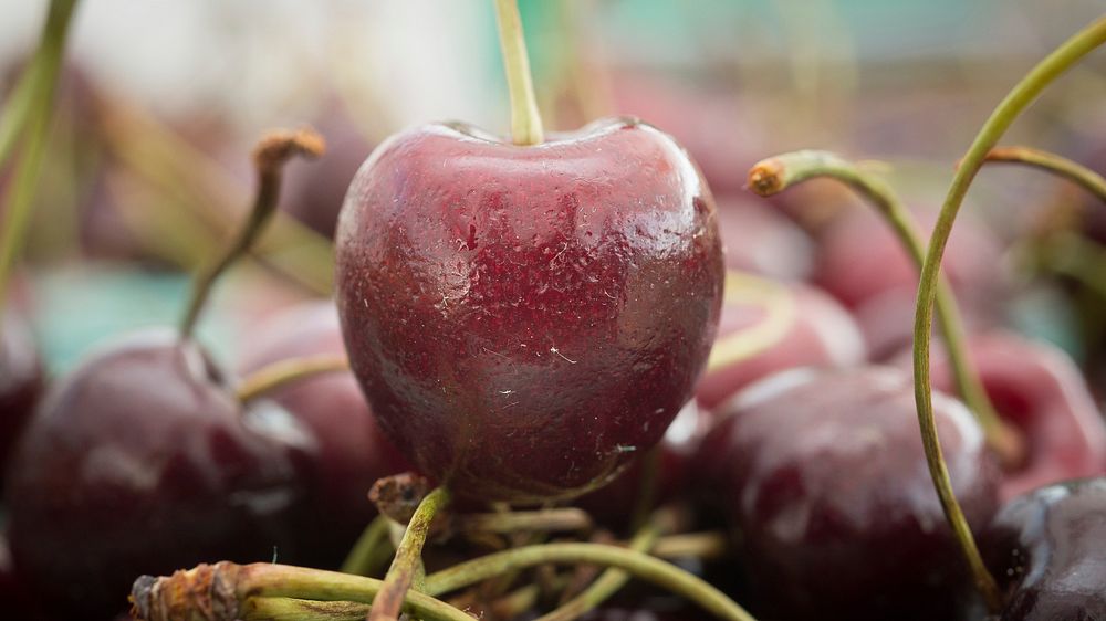 Cherries are some of the fruits, vegetables, and other products available from vendor at the U.S. Department of Agriculture…