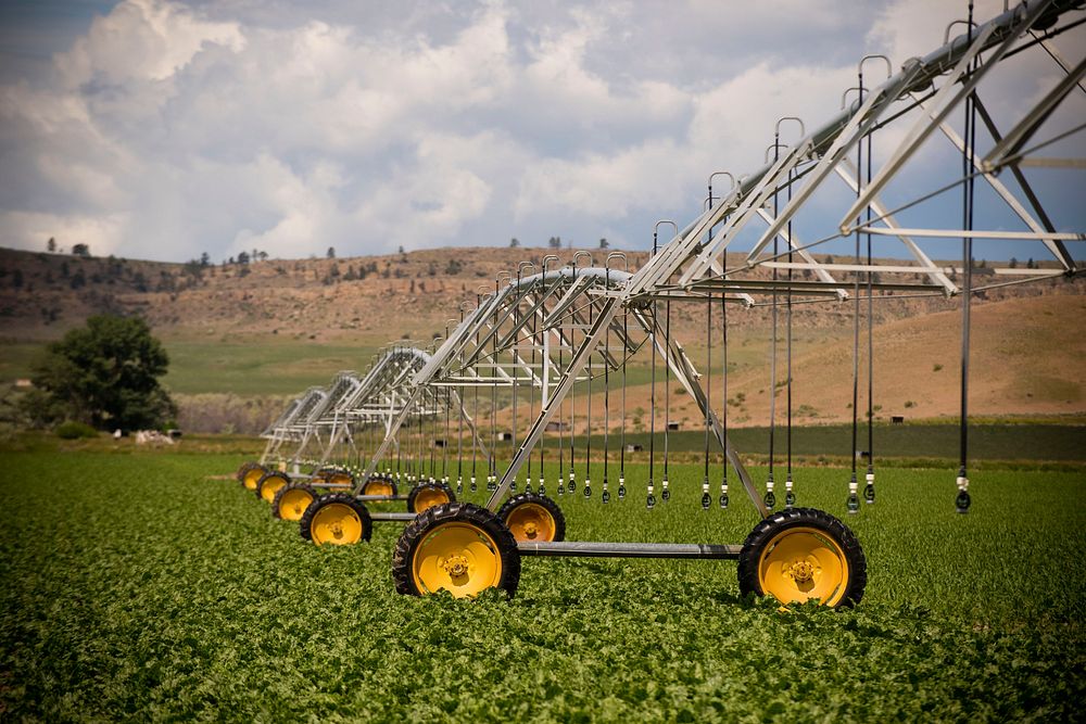 Greg Schlemmer, farmer near Fromberg, Mont., changed his irrigation system from siphon tubes for surface irrigation to a…